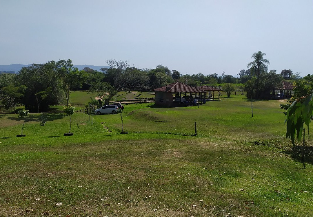 Sitio do Caranguejo Selvagem景点图片