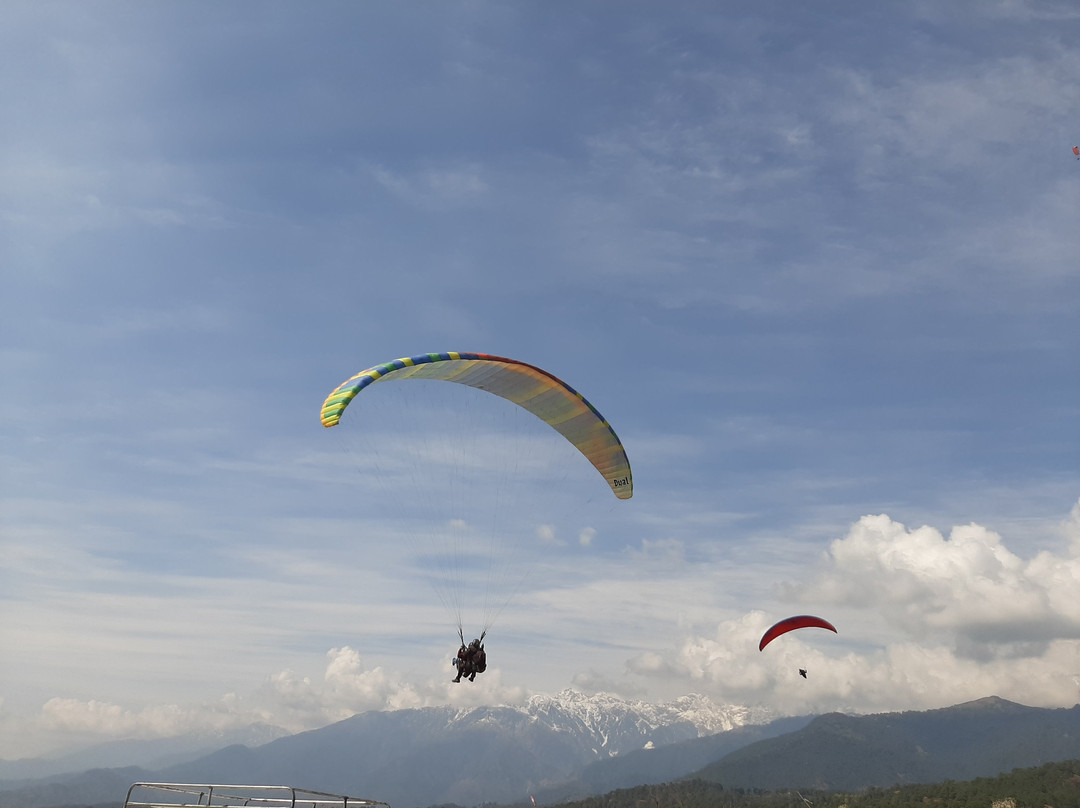 Bir Billing Paragliding Adventure景点图片