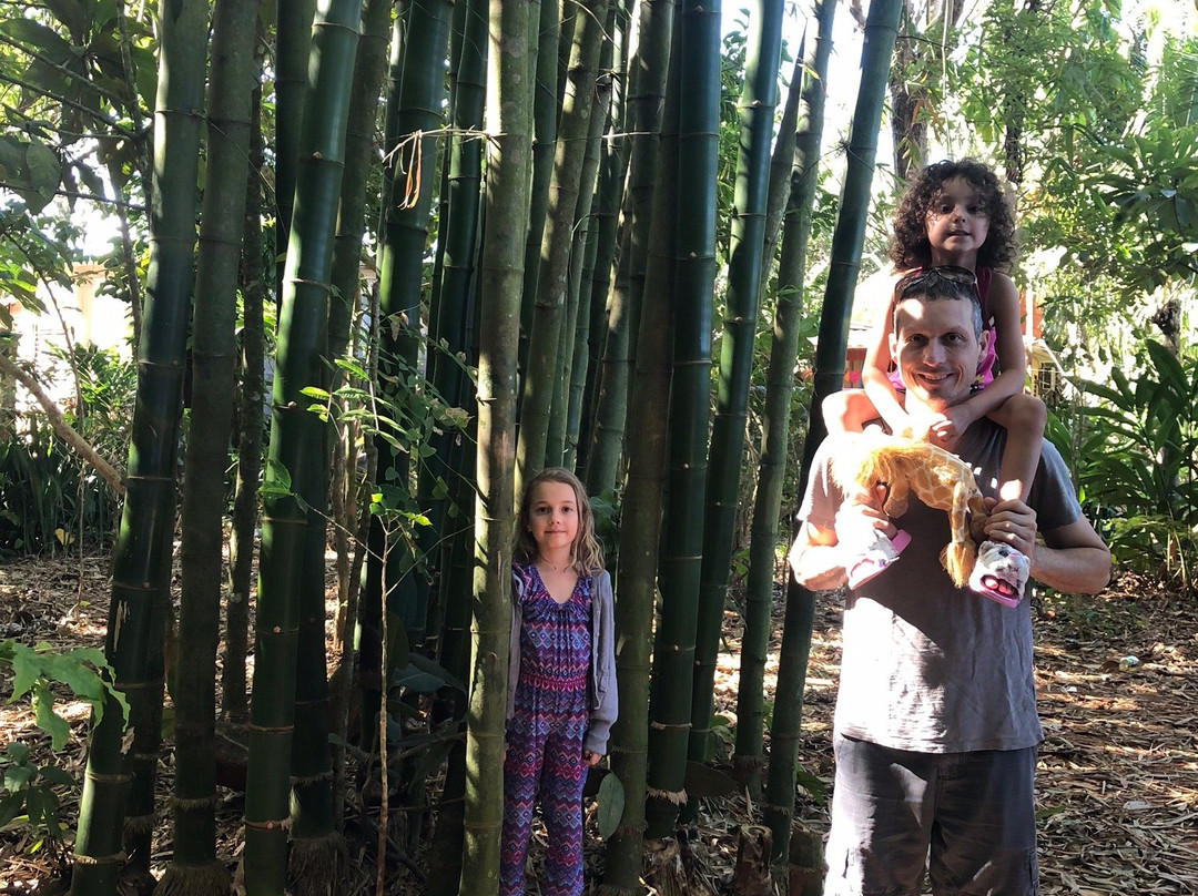 Jardin Botanico de Viñales-维纳勒斯必去景点