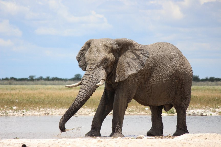 Flamingo Travel Namibia-温德和克必去景点