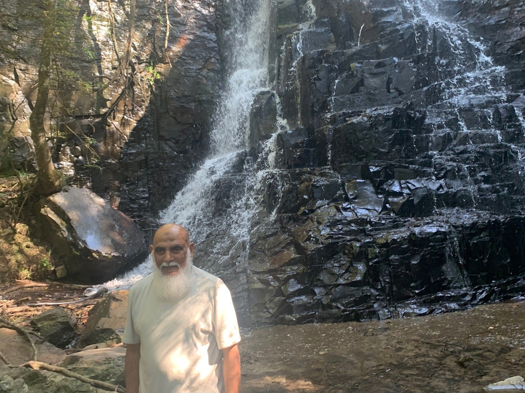 39 Steps-Hogsback必去景点