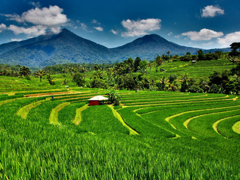 bersinar bali Tour-水明漾必去景点
