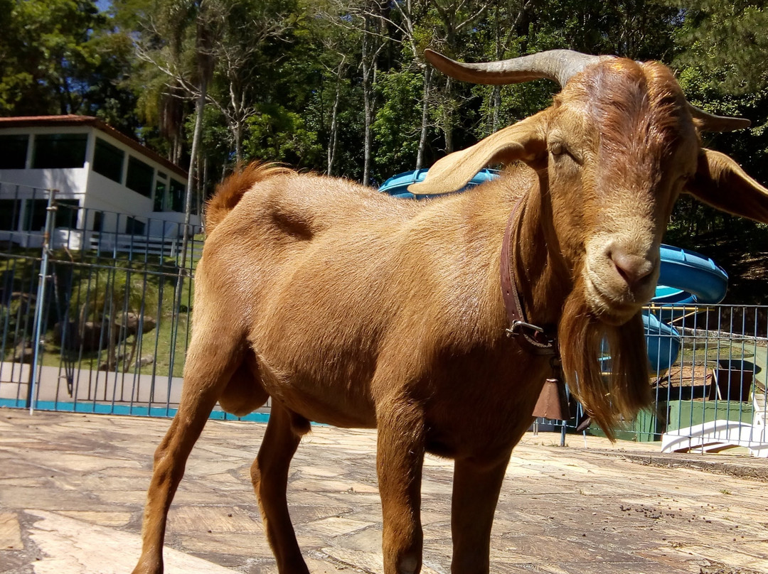 Hotel Vale do Funil主图