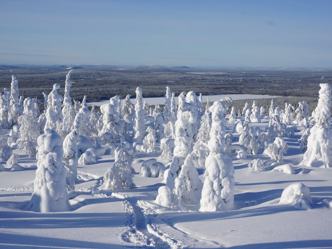 Sallatunturi Snowshoe Route-Salla必去景点
