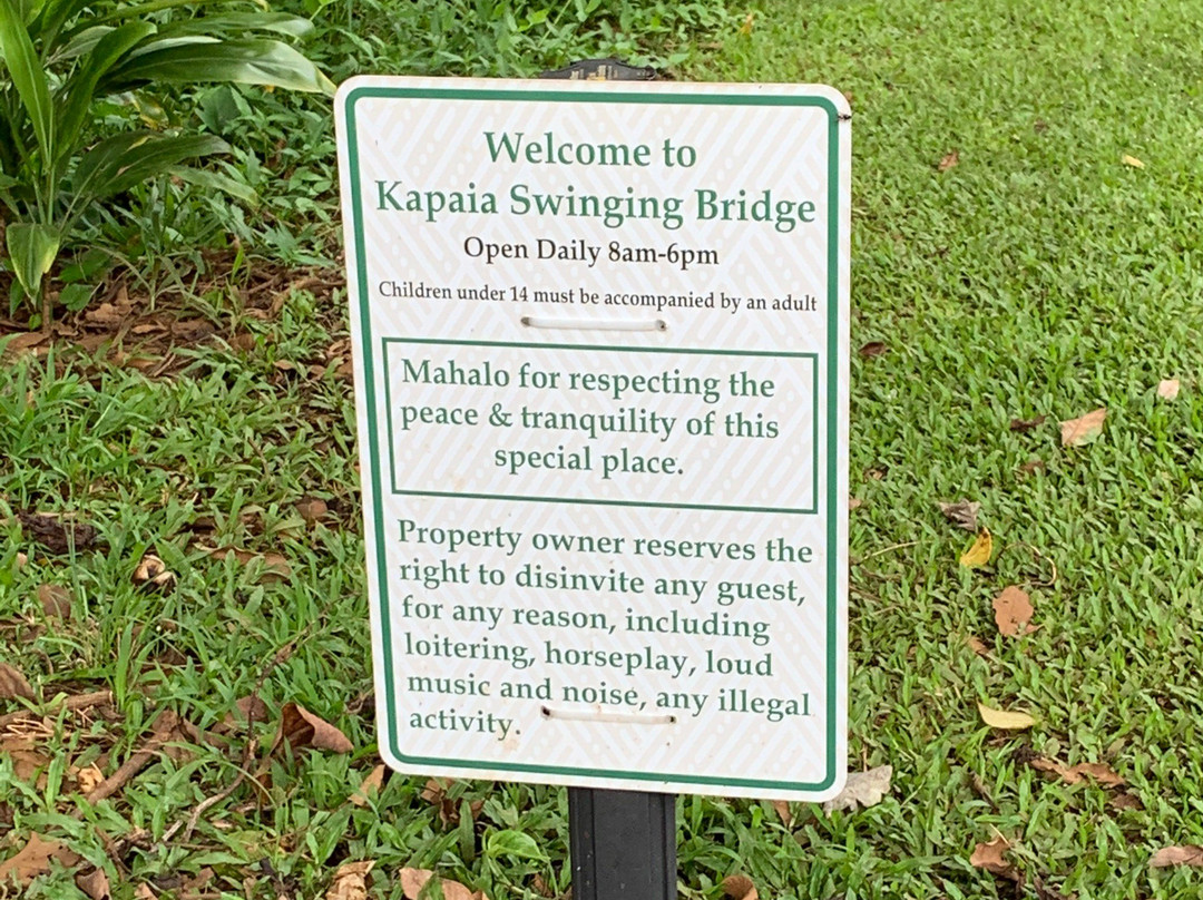 Kapaia Suspension Bridge-利胡埃必去景点