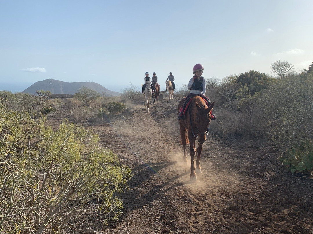 Horse Riding Tenerife-阿罗纳必去景点