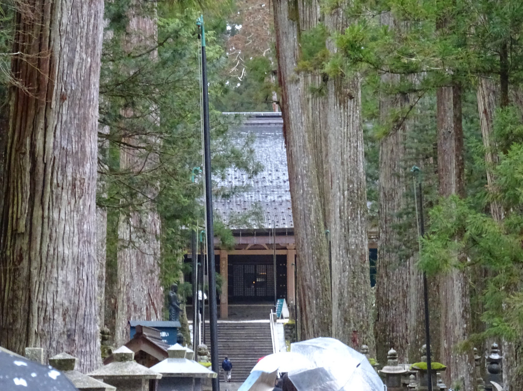 Torodo Temple-高野町必去景点