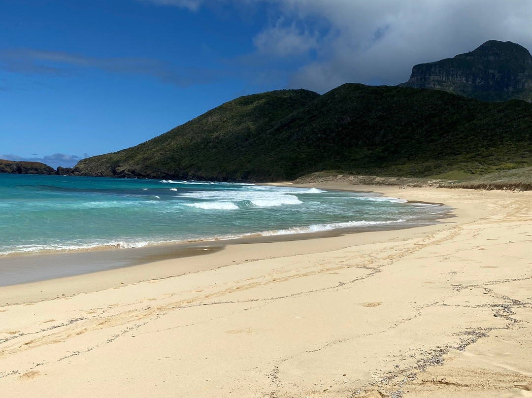 Blinky Beach-豪勋爵群岛必去景点