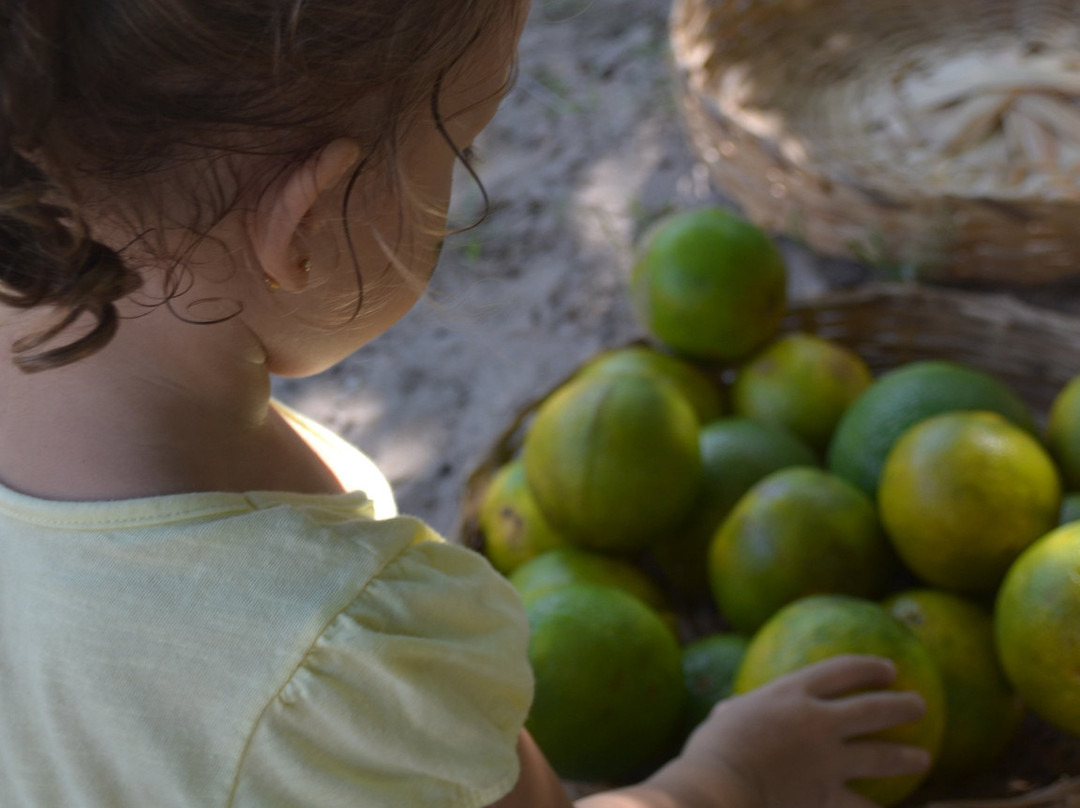 El Solar de Mao-Galapa必去景点