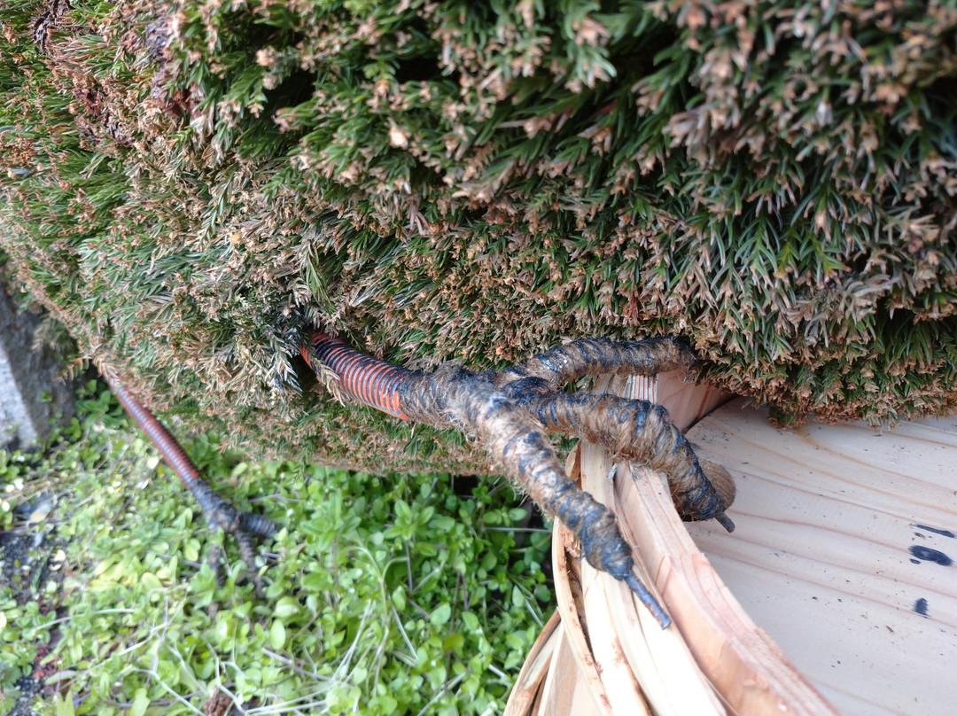 Rock Town Plaza-七宗町必去景点