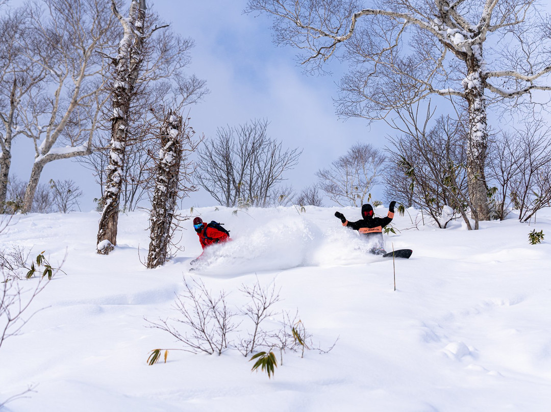 Niseko Moiwa Ski Resort景点图片