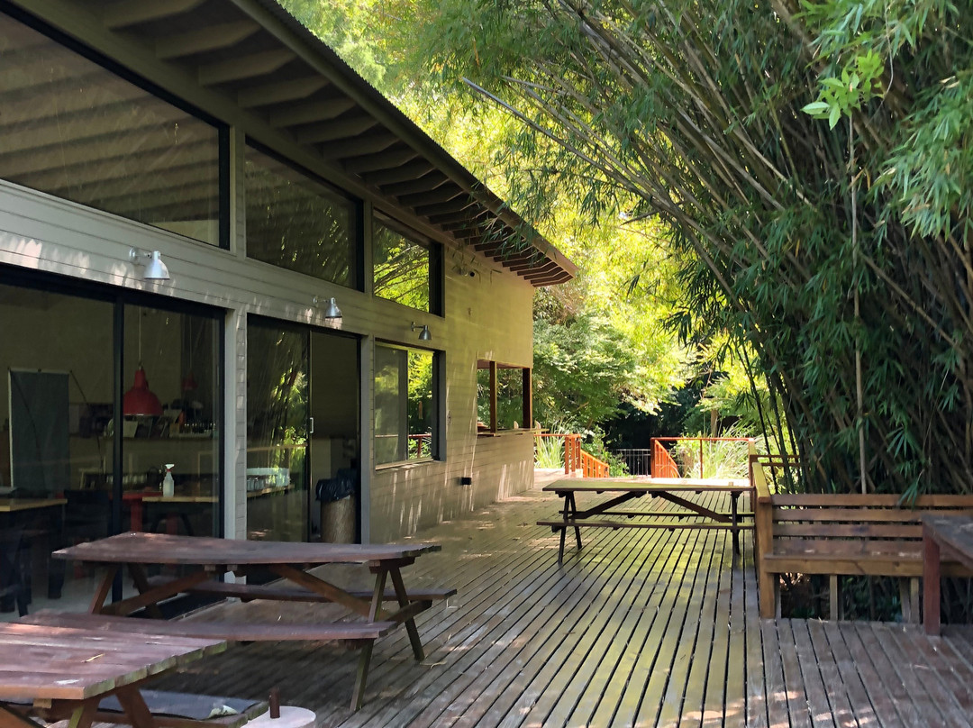 Delta Terra-蒂格雷必去景点