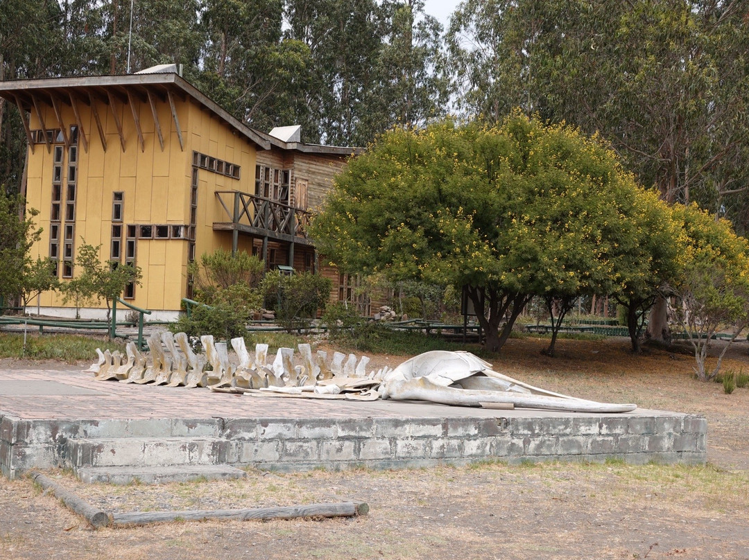 El Yali National Reserve-Santo Domingo必去景点