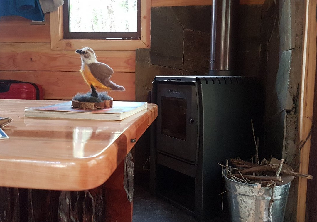 Los Cajones旅游攻略图片