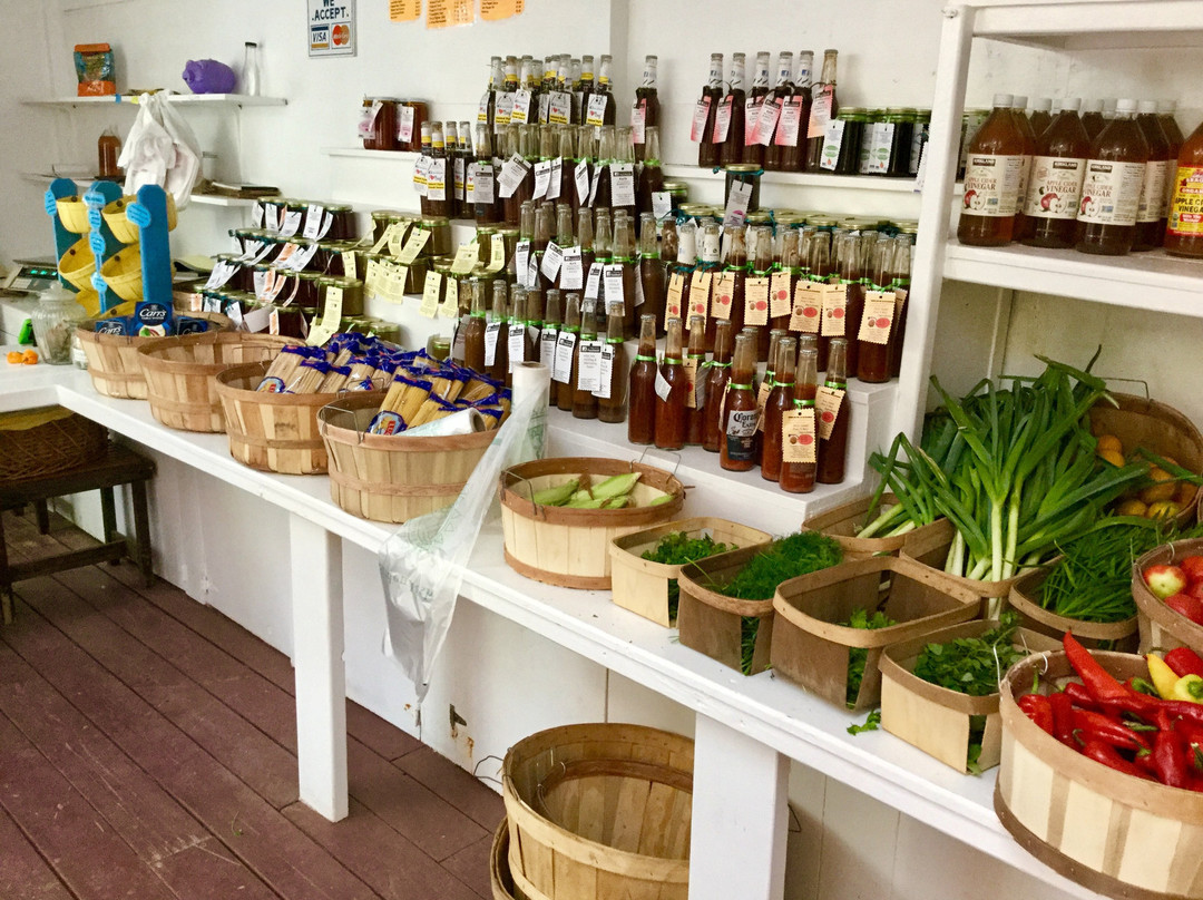 Eleuthera Island Farm-伊柳塞拉必去景点