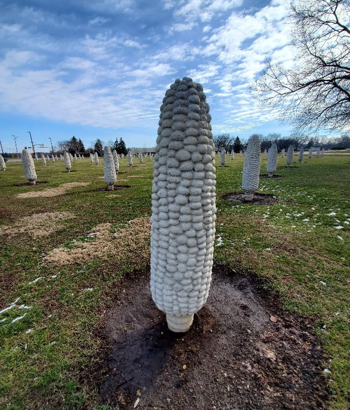 Field of Giant Corn Ears景点图片