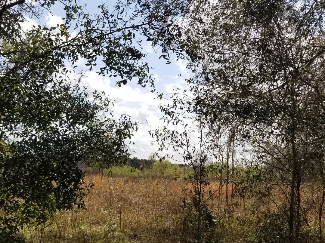 Halpata Tastanaki Preserve-Dunnellon必去景点