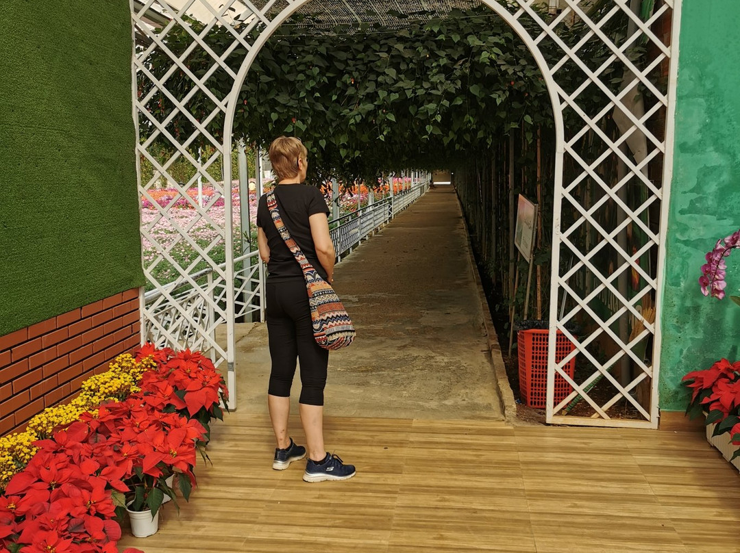 Dalat Private Tours-大勒必去景点