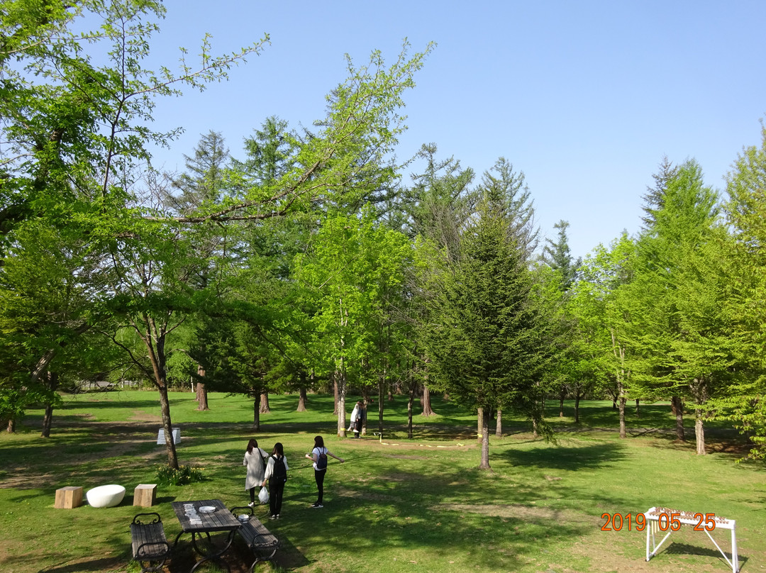 Biruke no Mori-美瑛町必去景点