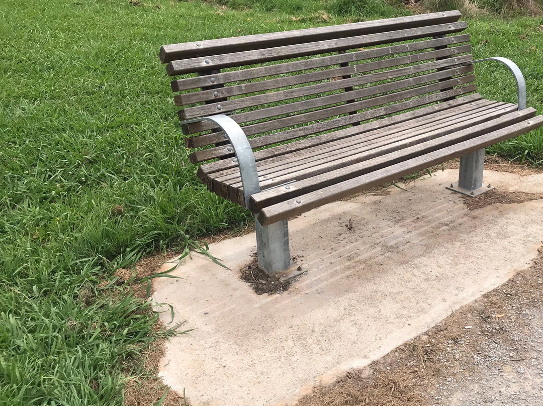 Hull Road Wetlands-Lilydale必去景点