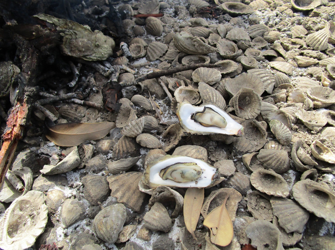 La Maison Sur la Plage主图