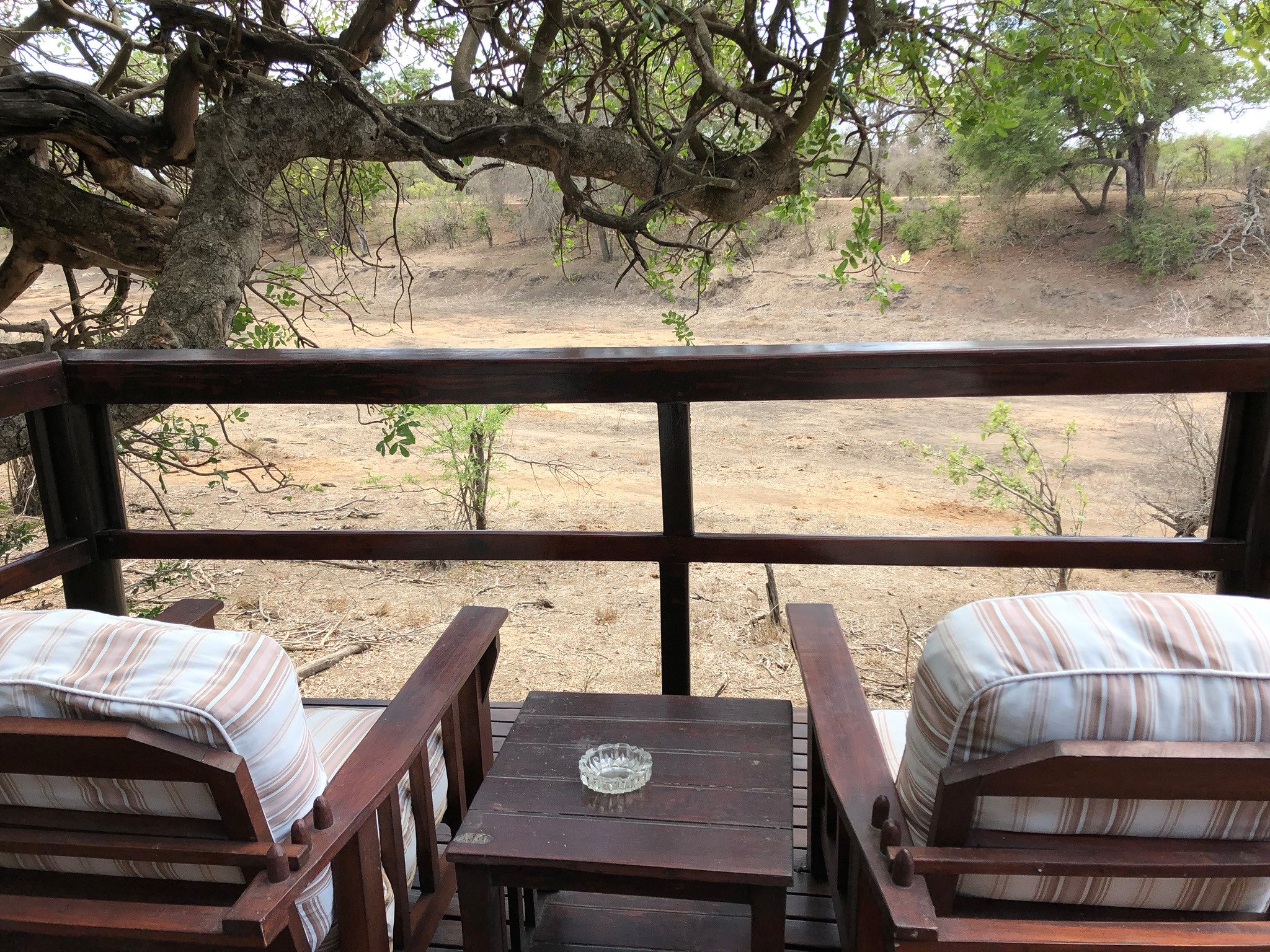 Hamiltons Tented Camp-酒店景观