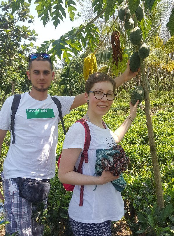 Ratna Gem Halt主图