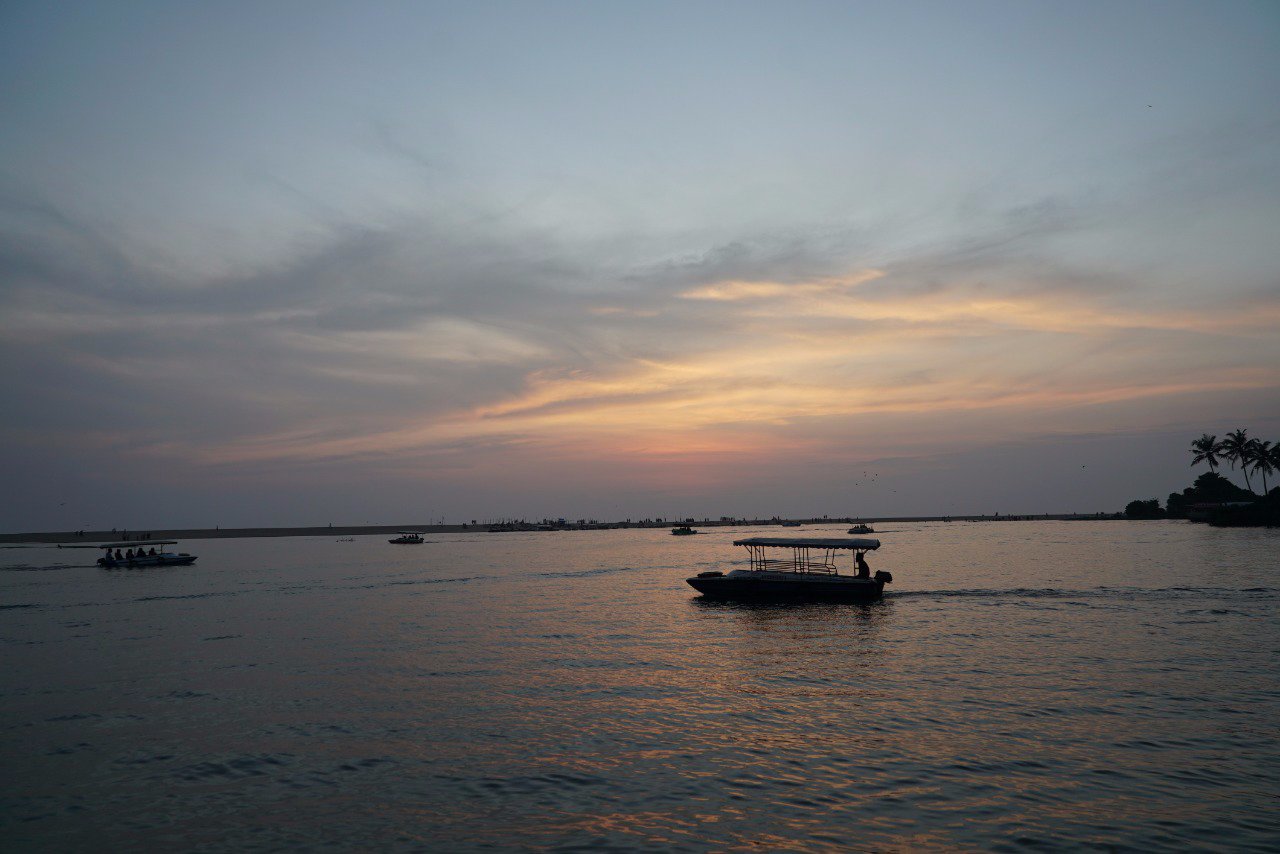 Estuary Sarovar Portico-泳池