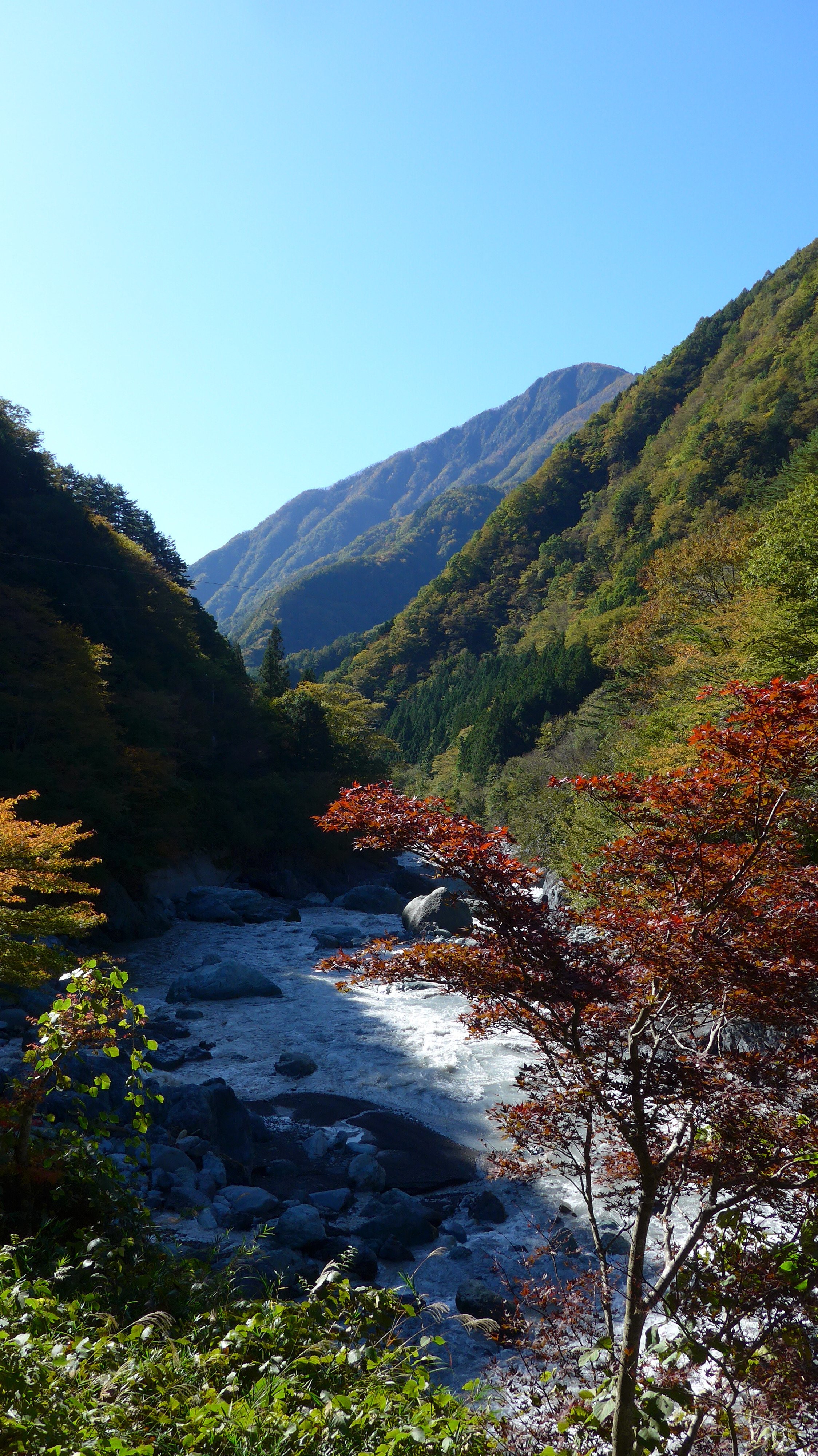 全馆源泉涌出之宿 西山温泉庆云馆-酒店景观