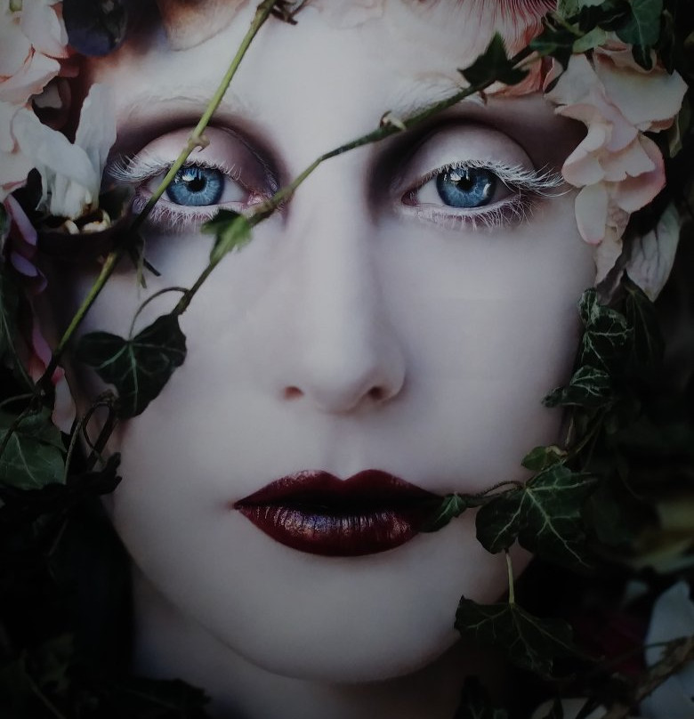 Museum of Art - Deland-迪兰必去景点