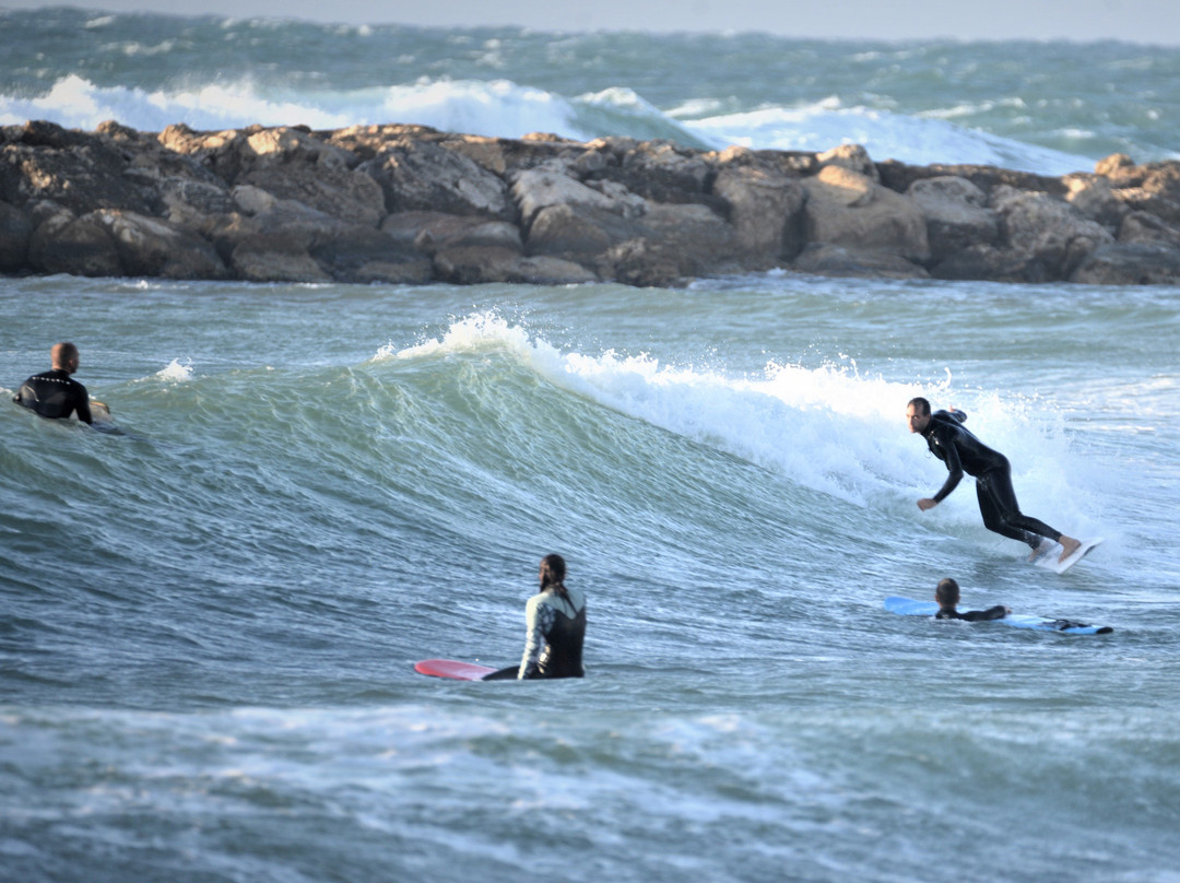 Go Surf TLV-特拉维夫必去景点