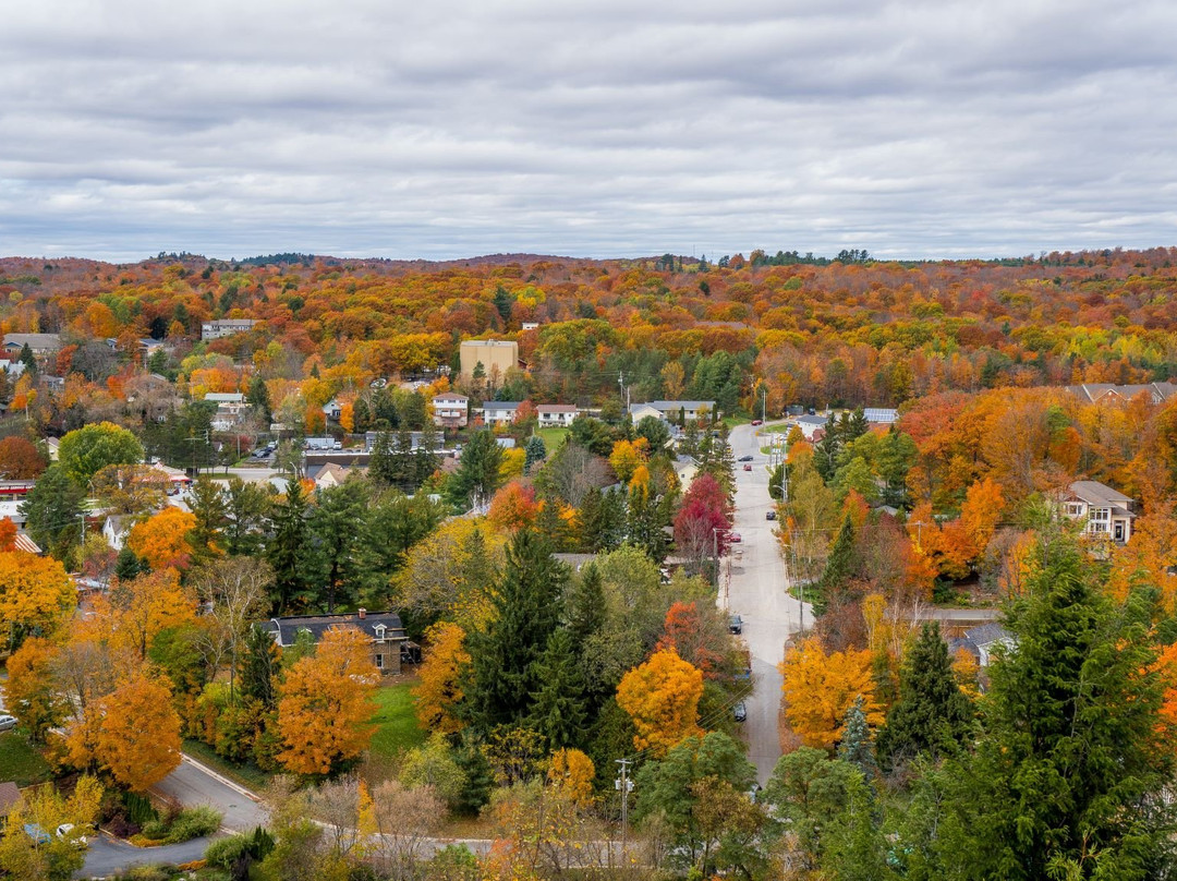Lions Lookout-亨茨维尔必去景点