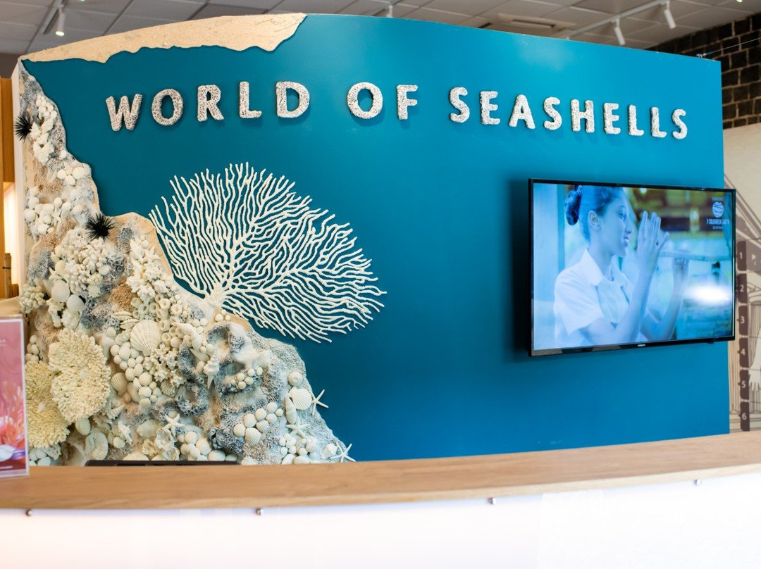 World of Seashells景点图片