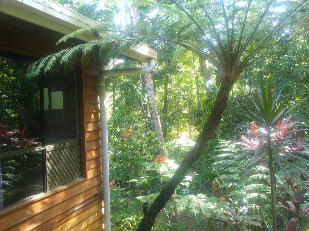 The Epiphyte Bed and Breakfast主图