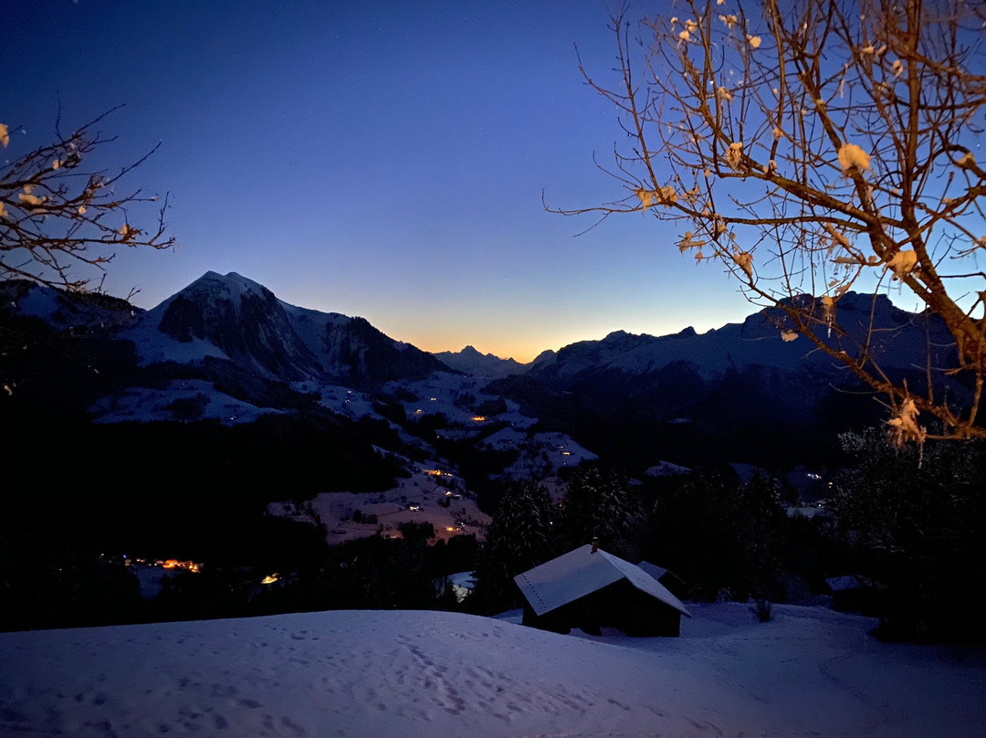 Les Chalets-Hotel de la Croix-Fry主图