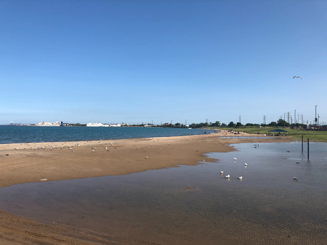 东芝加哥美洲星 酒店主图