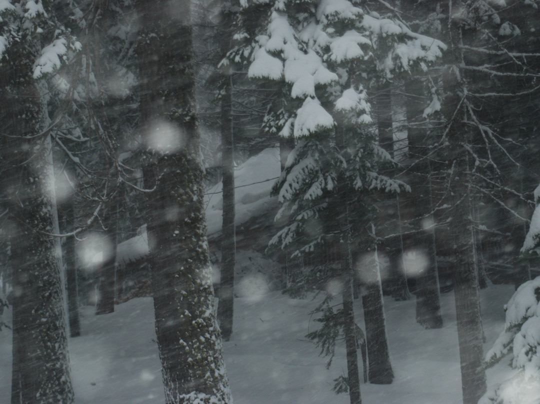 Odell Lake Lodge & Resort主图