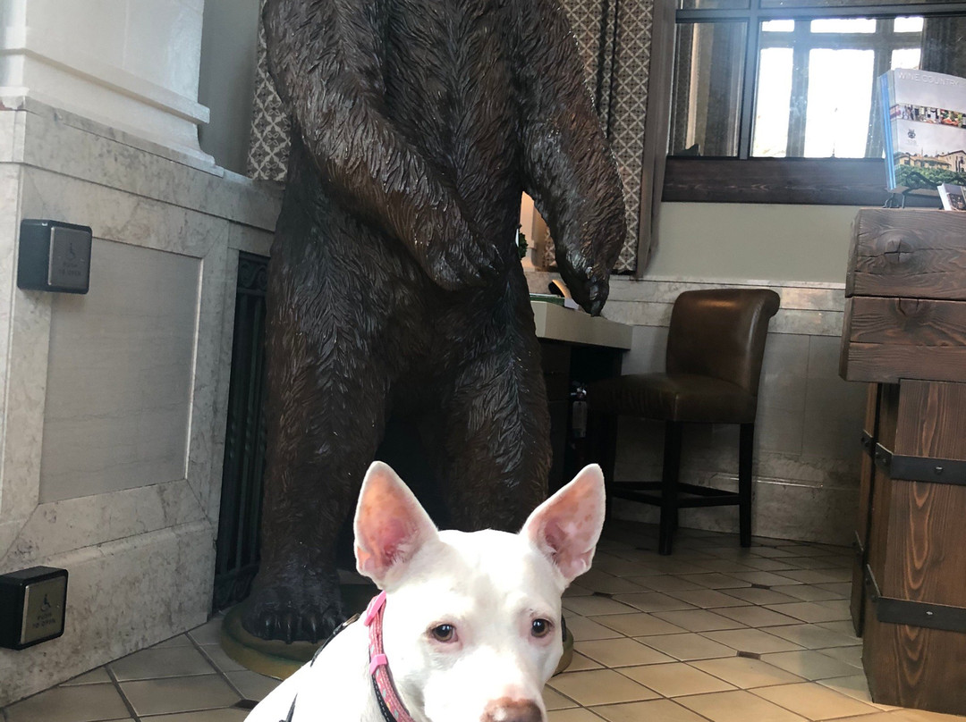 Huge Bear at The Bank Tasting Room景点图片