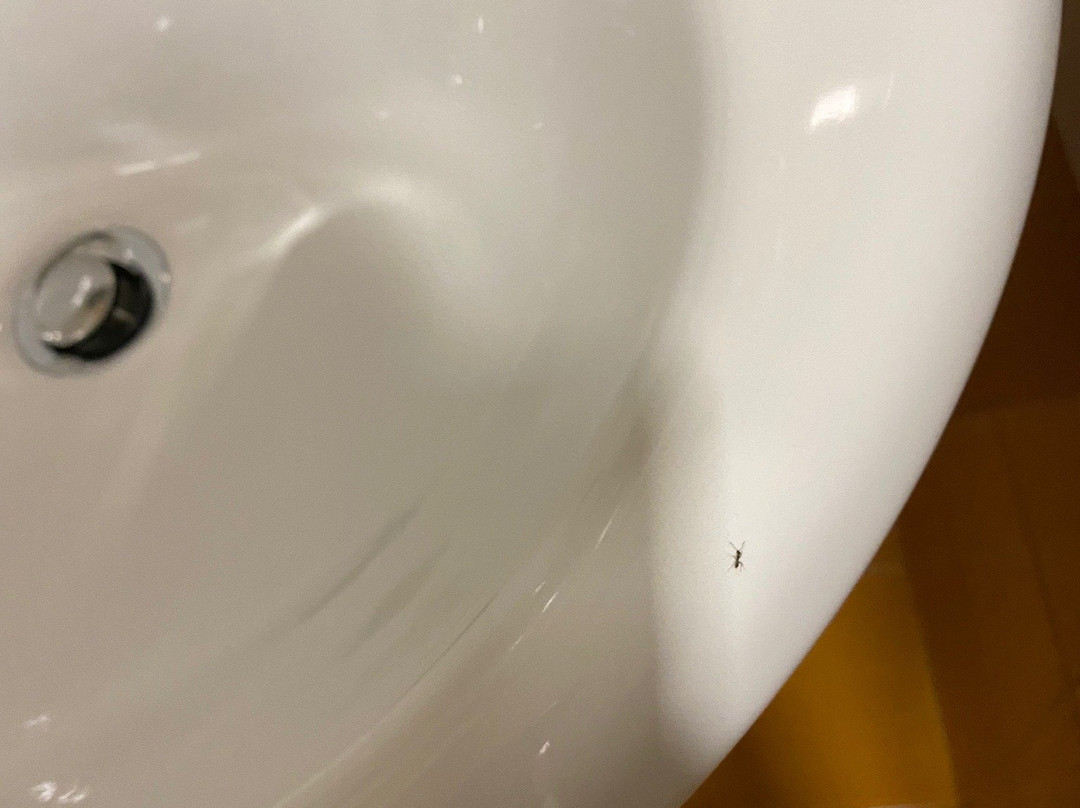 Hotel Fly主图
