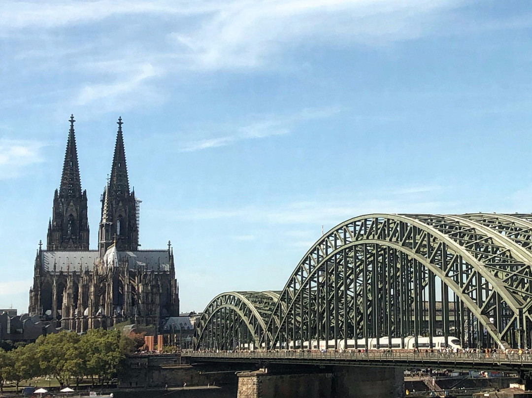 科隆丽晶凯悦酒店主图