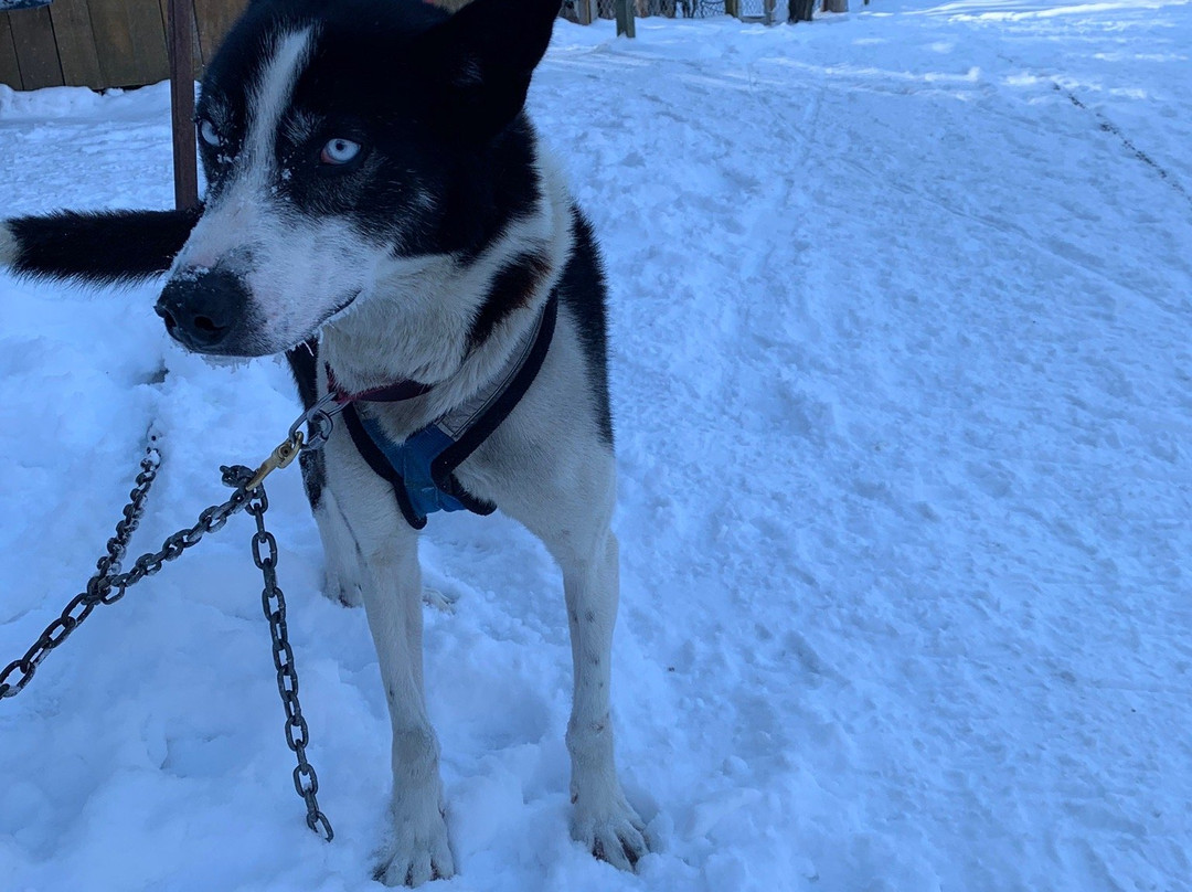Laurel Aventure Nature Day Trips-Wentworth Nord必去景点