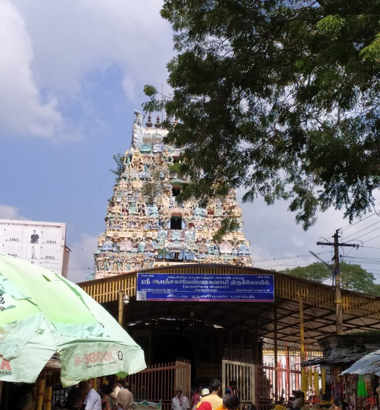 Arulmigu Abathsagayeswarar Temple景点图片