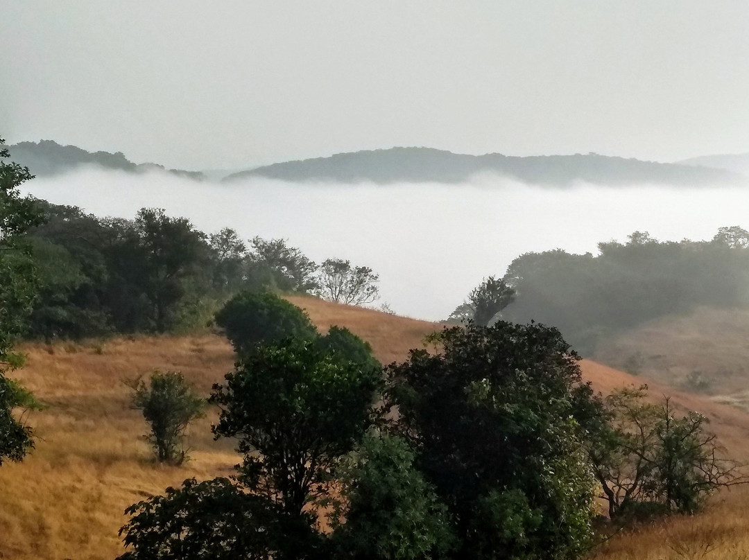 HORNBILL RESORT主图