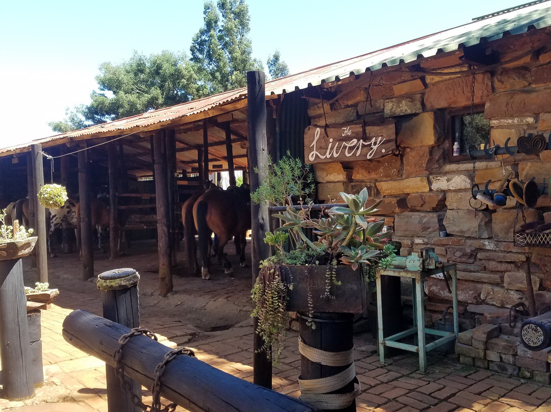 Kaapsehoop Horse Trails Volunteer Project-Kaapsehoop必去景点