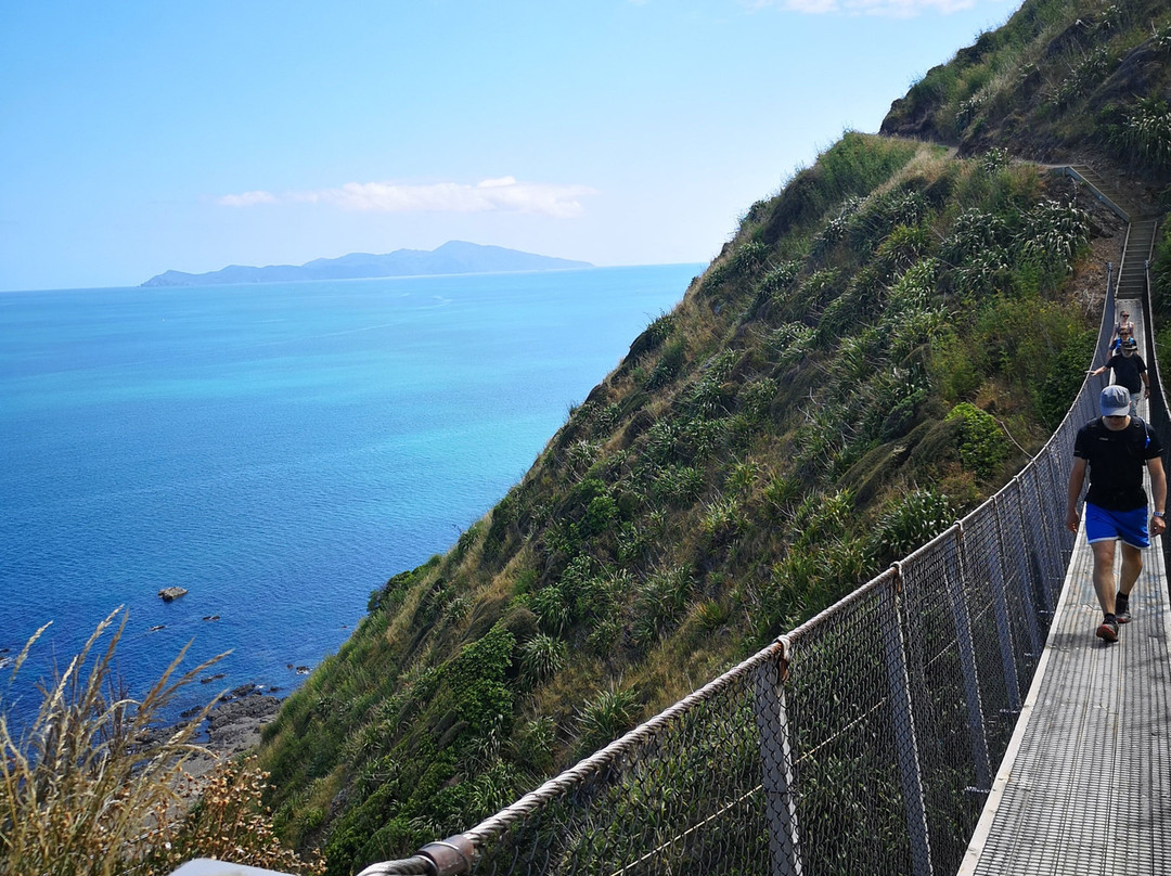 Paekakariki Escarpment Walkway景点图片