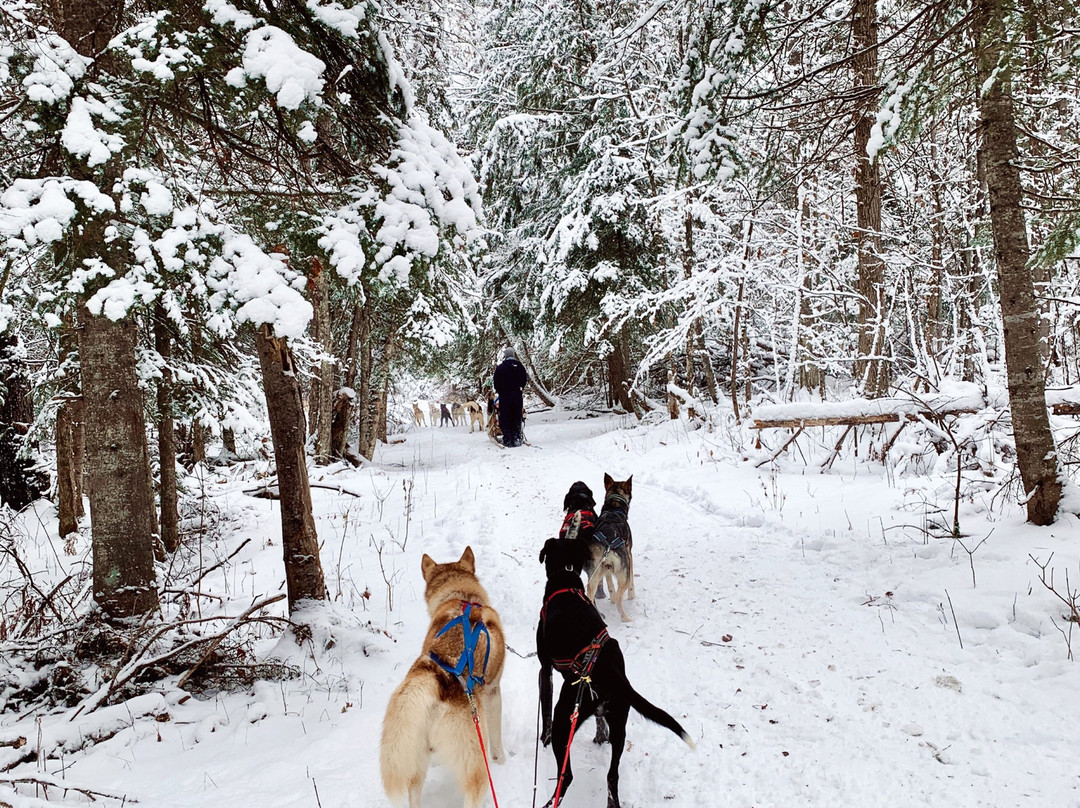 Ferme L'Aventure-Low必去景点