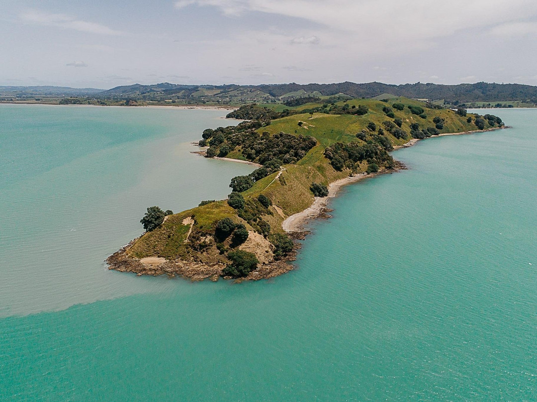 Wild Adventures New Zealand - Auckland Hiking Tours-奥克兰必去景点