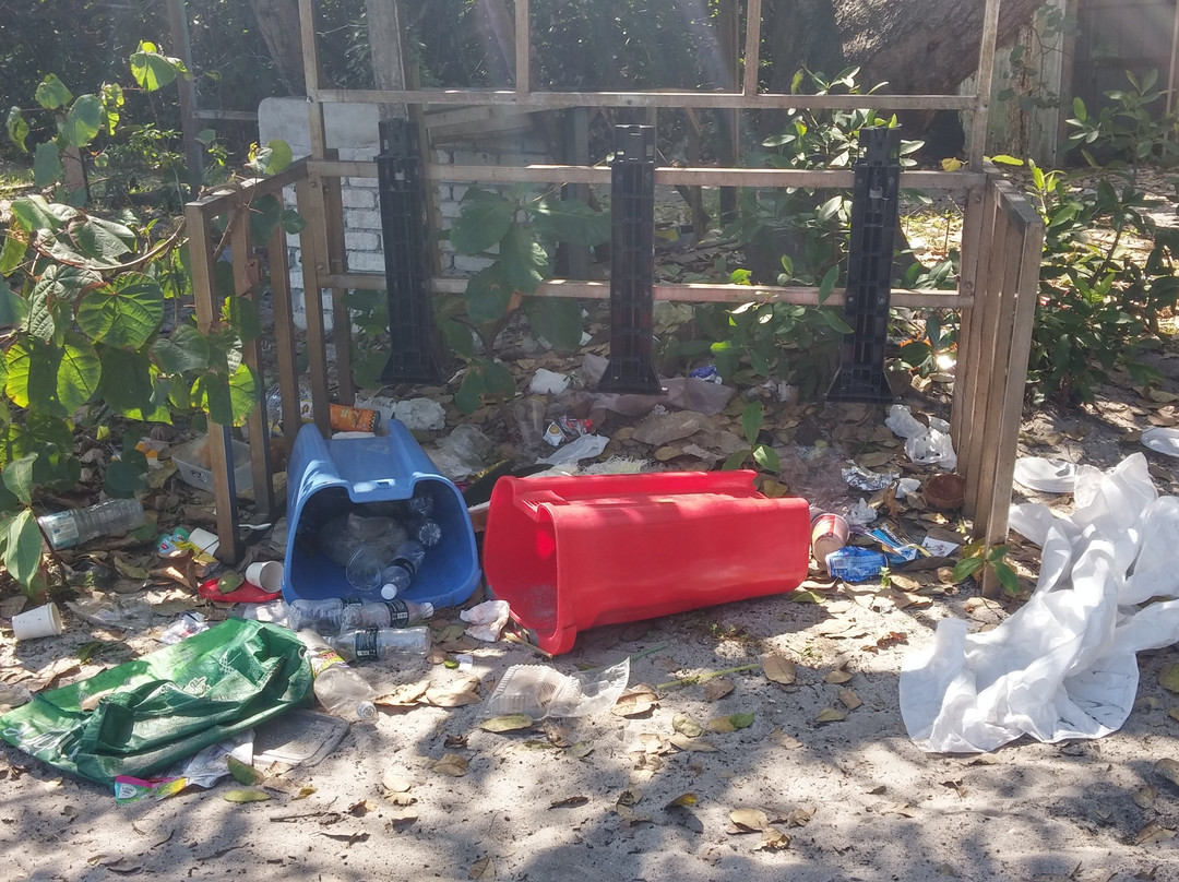 Penang Monkey Beach-峇都丁宜必去景点