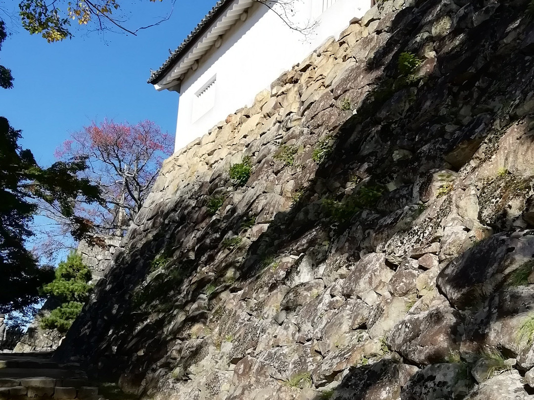 Hikone Castle Taikomon Tower-彦根市必去景点