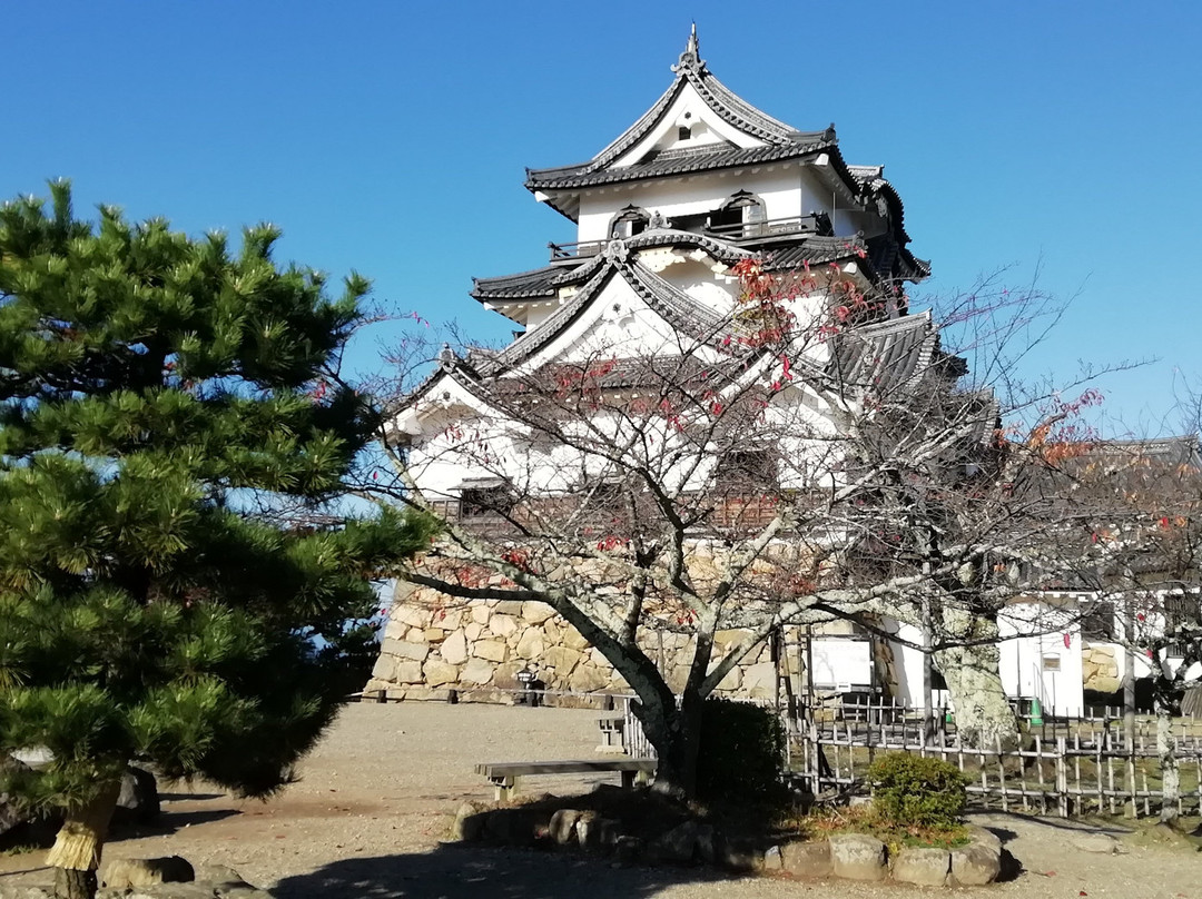 Hikone Castle Tenshu景点图片